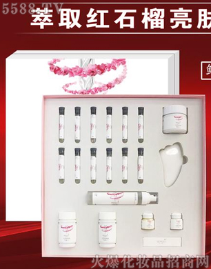 �V�݋������yƷ���޹�˾�������¹ι�͸�����w��