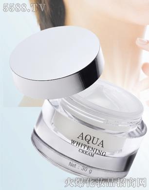 PDL(̩��)���yƷ���޹�˾��̩���aˮ����˪AQUA WHITENING CREAM
