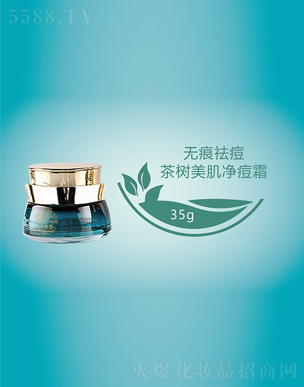 �V���f�Z���H����Ƽ����޹�˾��ܽ�������������˪