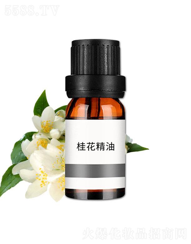 �V�݊��n����Ƽ����޹�˾�����n�𻨾���