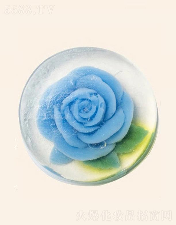 �V���G������Ƽ����޹�˾����ܽ���{ɫ�����ֹ���