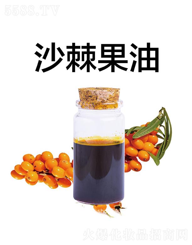 ������������Ƽ����޹�˾������ɳ������