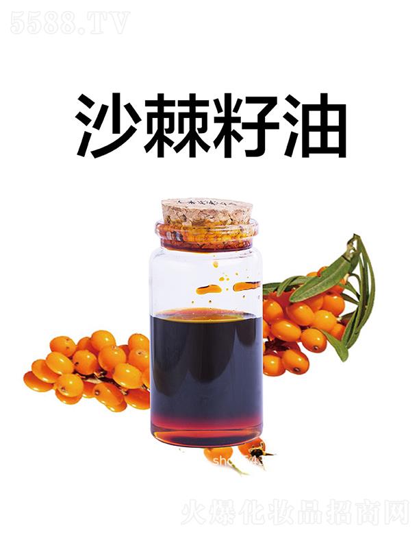 ������������Ƽ����޹�˾������ɳ������