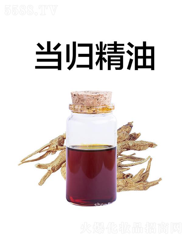 ������������Ƽ����޹�˾�����î�(d��ng)�w����