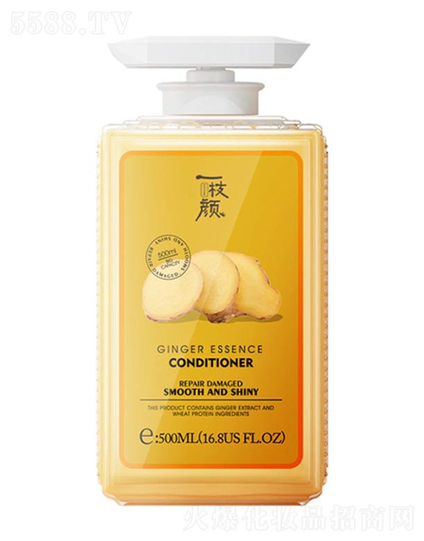 ���y���V�ݣ��Ƽ����޹�˾��һ֦�?zh��n)o(h��)�l(f��)��