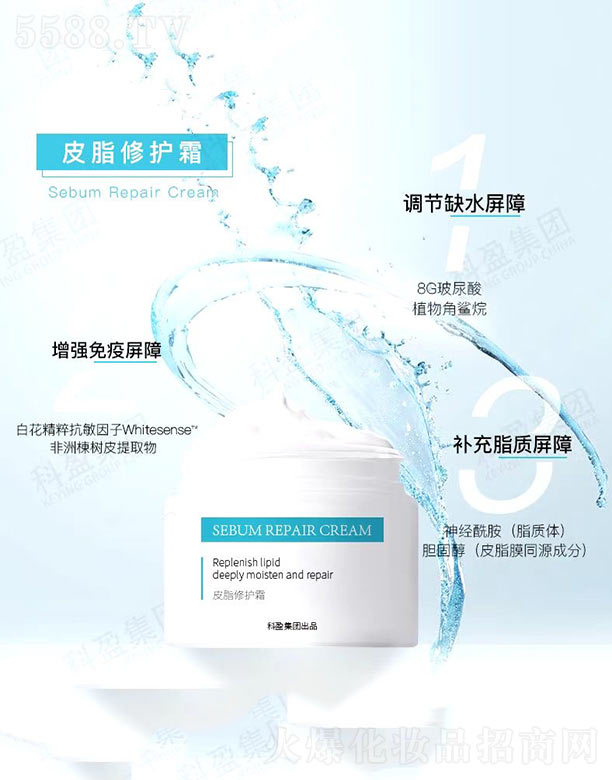 �V�ݿ�ӯ���yƷ���޹�˾��Ƥ֬�ޏ�˪