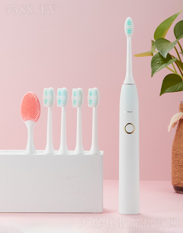 ���������R���Ƽ����޹�˾�����R��ZR501������늄���ˢ-��