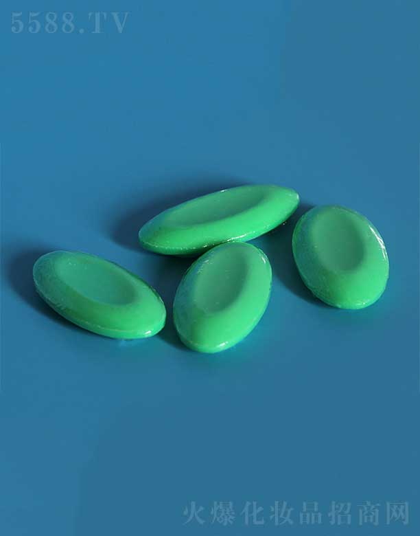 �P�ݻ��i�ջ���Ʒ���޹�˾��������TMH-004