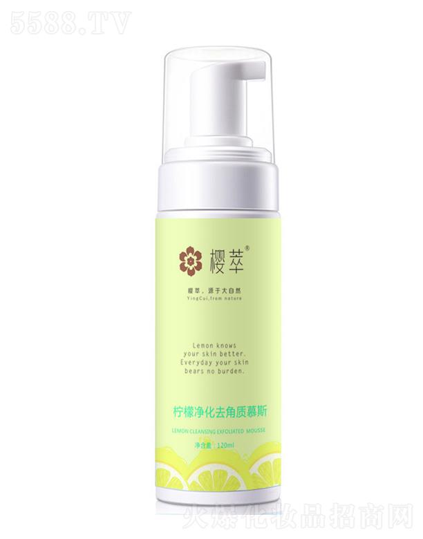 �V�݆�������Ƽ����޹�˾�����ʃ���ȥ���|(zh��)Ľ˹