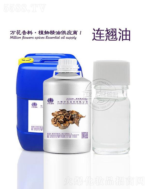 �����f���������޹�˾���f���B�N��