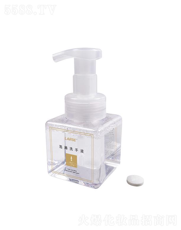 �㽭��������Ƽ����޹�˾��LARGE�������vϴ��Һ