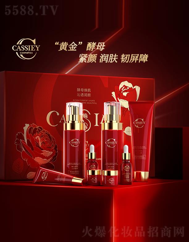 �V�|���z�ə�(qu��n)Ͷ�Y���F(tu��n)���޹�˾��CASSIEY���ѽ�ĸ�����