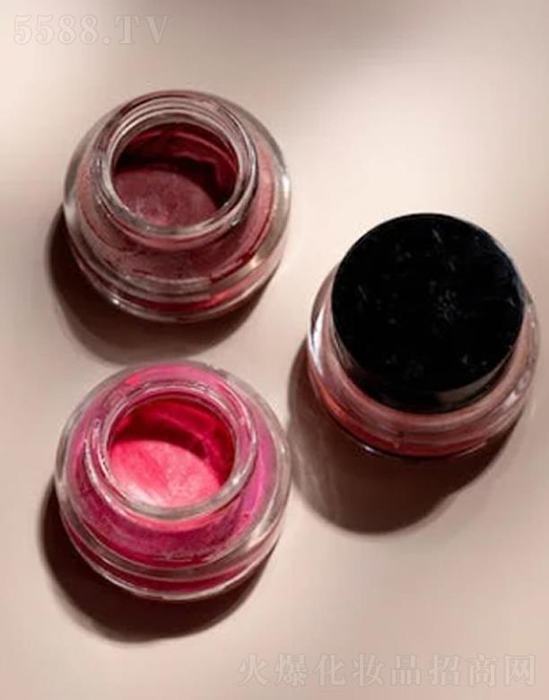 �Ƭ����yƷ���o(w��)�a�����޹�˾��Ľ˹���t��