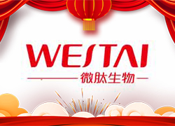 �����͸����_�T�����V��΢�Ľo����������