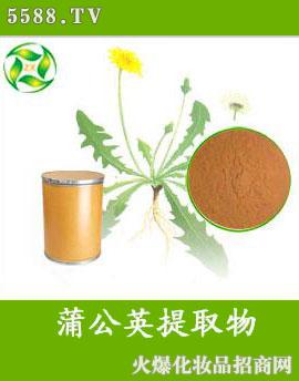 �����ѹ�Ӣ��ȡ��