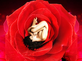 ���������䷻��(gu��)�H����Ƽ����޹�˾