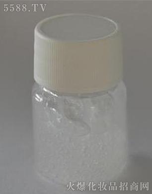 ����|(zh��)����