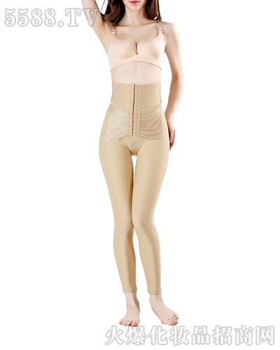 �wɫ�L(zh��ng)ѝ