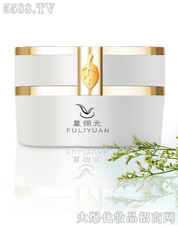 �̓�Ԫ���˪