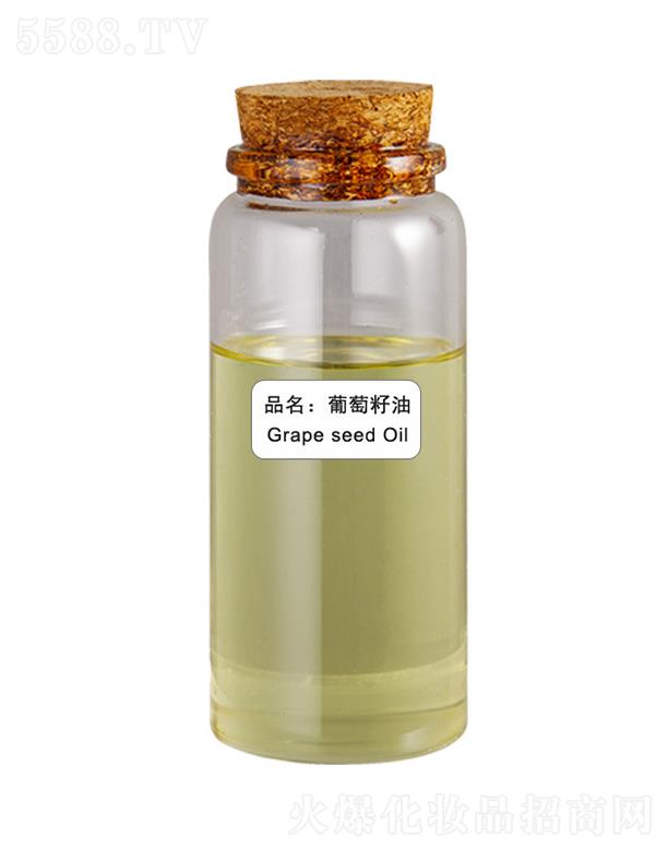 ɭ����������