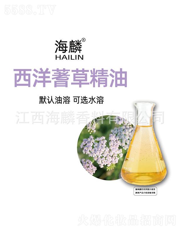 ����������ݾ���