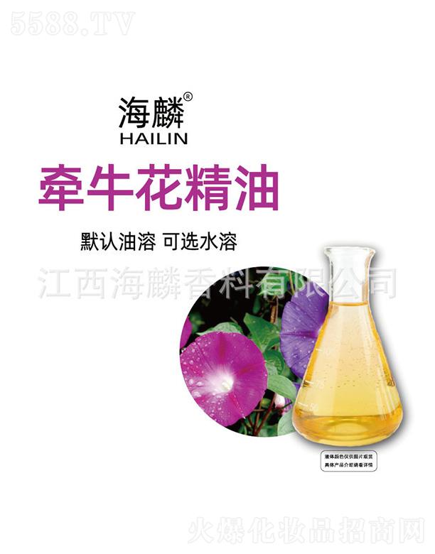 ���렿��������