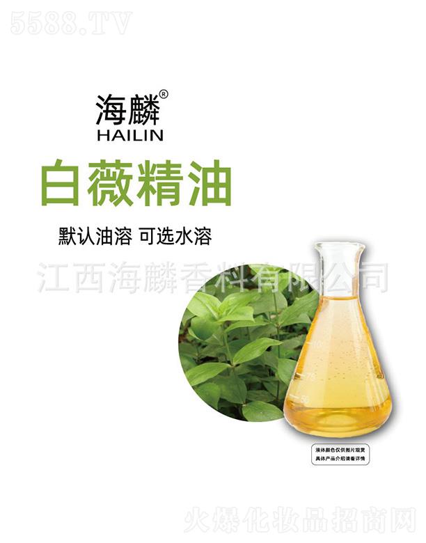 �����ޱ����