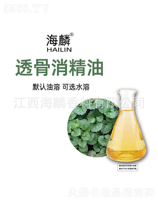 ����͸��������