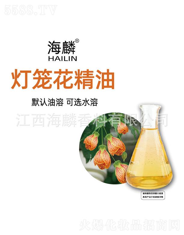 ������\������