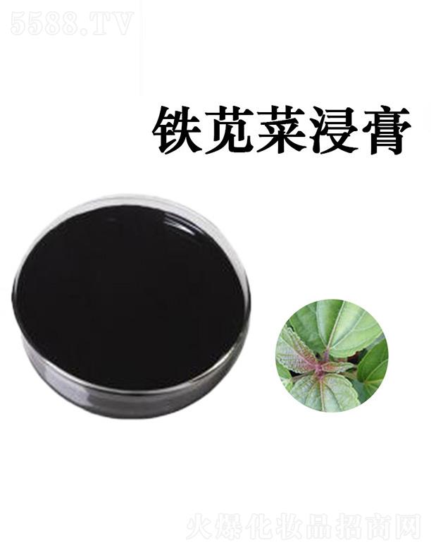 �G�R�F�{�˽���