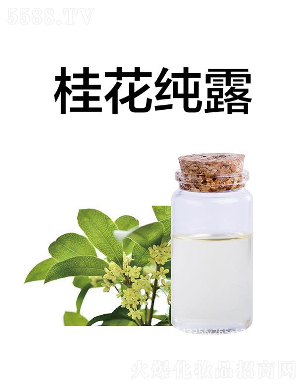 ���ù𻨼�¶