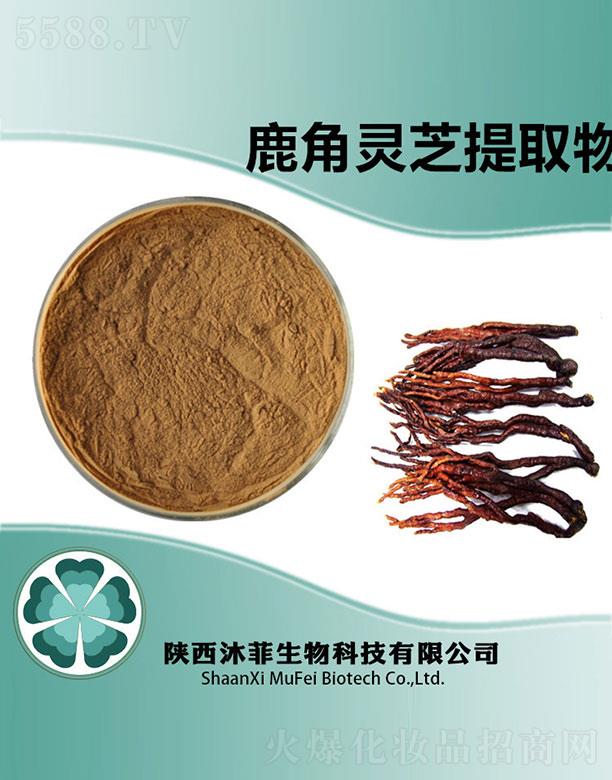 ���¹���`֥��ȡ��