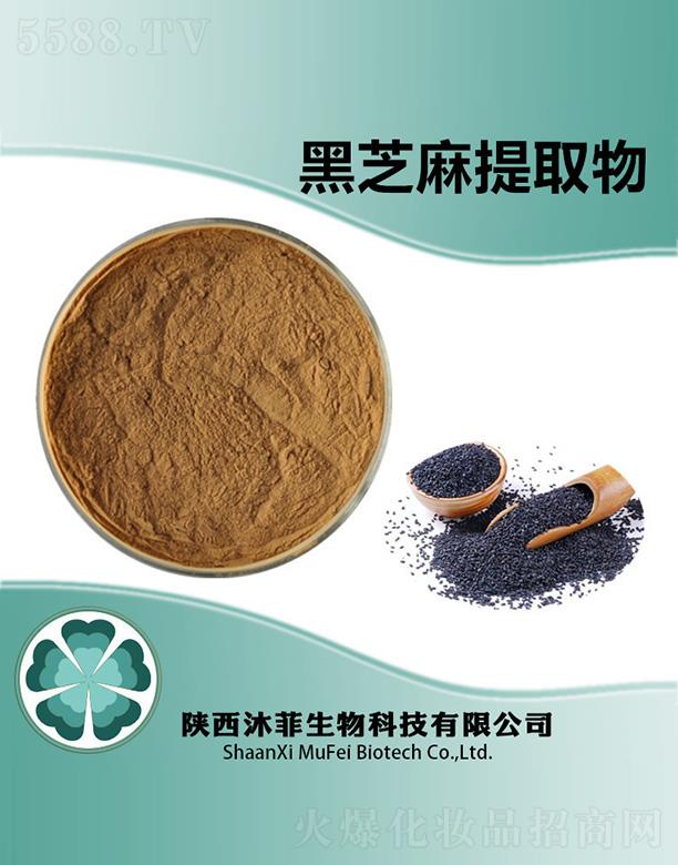 ��ƺ�֥����ȡ��