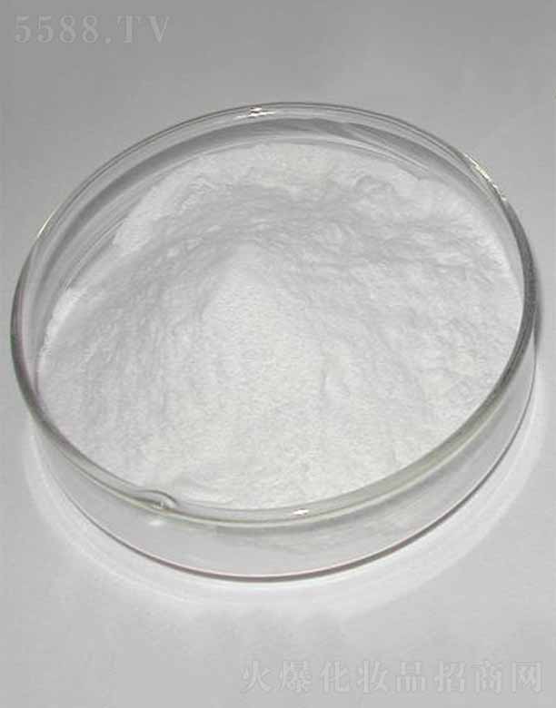 ����-9/������/������