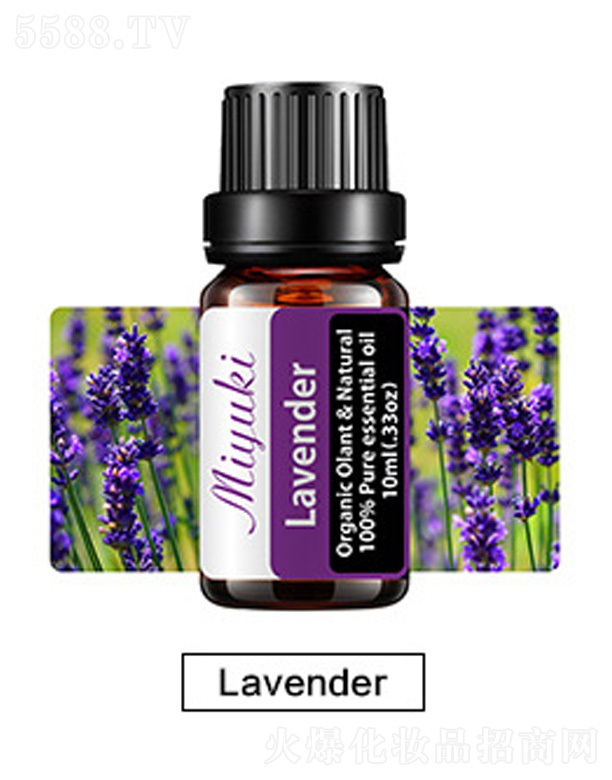 �o(h��)�w��޹��Ħ��-޹�²�