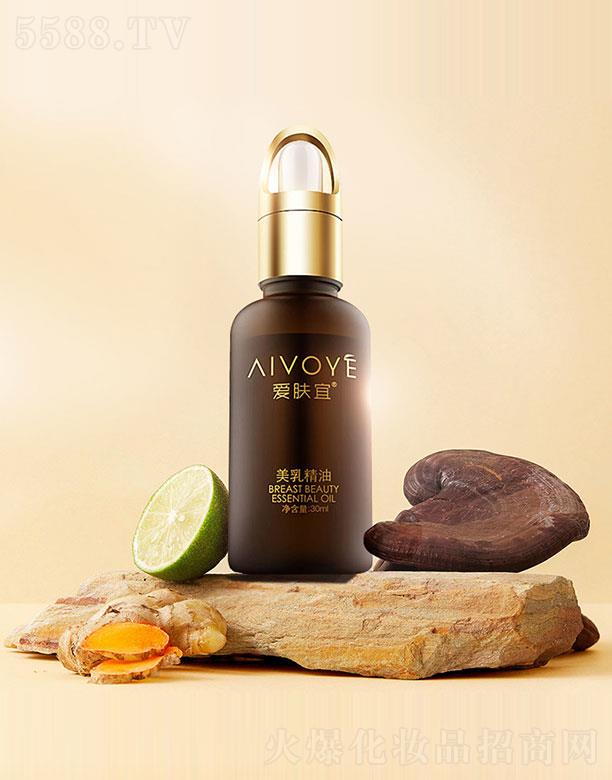 ���w�����龫��