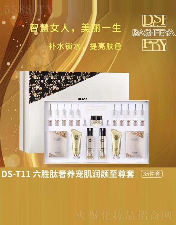 ��ɯDS-T11���������B(y��ng)������(r��n)���