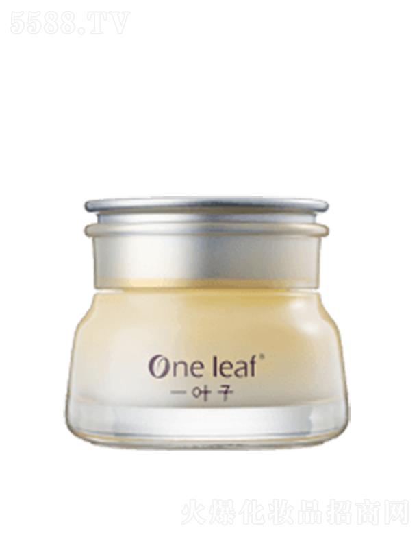 һ�~��ѩ��ˮ���������B(y��ng)˪