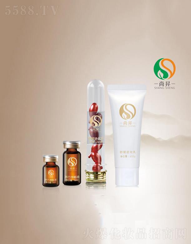 �ЕN�弡��  ���MƤ�w��ꐴ��x