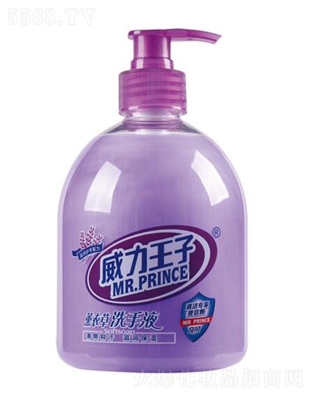 ��������޹�²ݝ��wϴ��Һ 500��