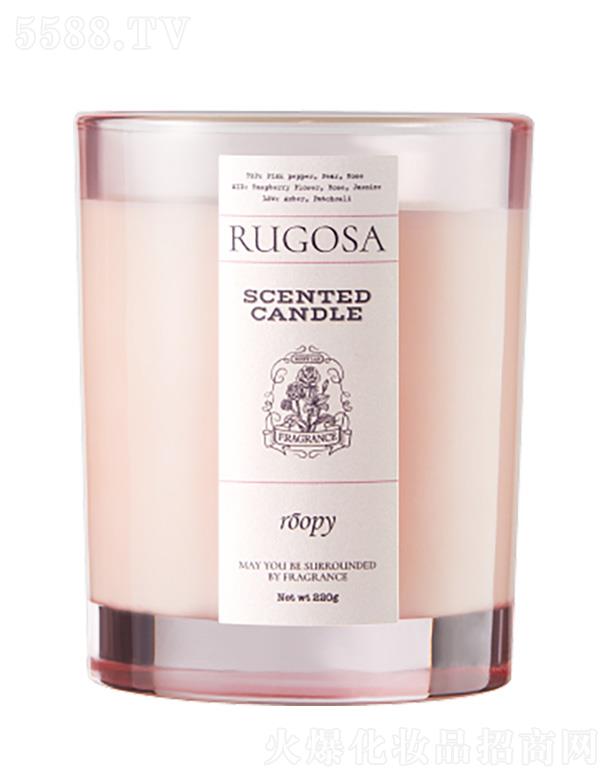 �����o��õ�� �� õ�����{��޹Ϟ�T