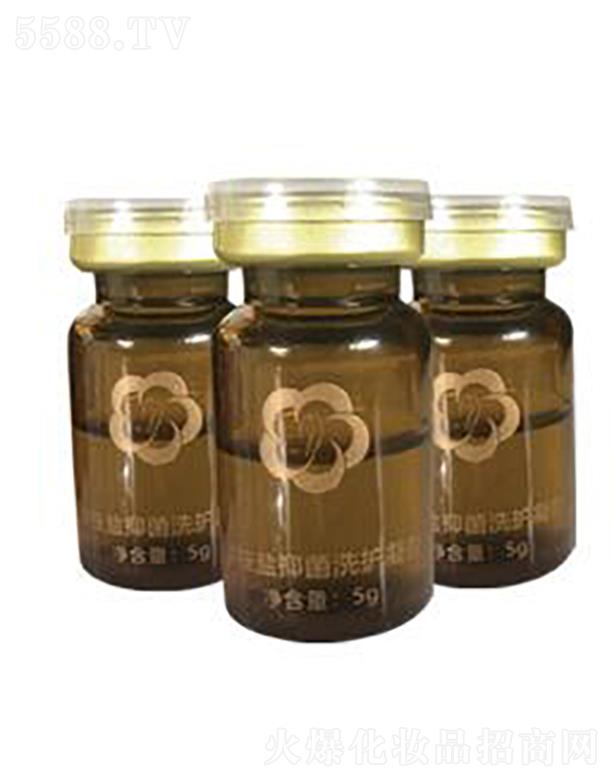 ���������SPA���A