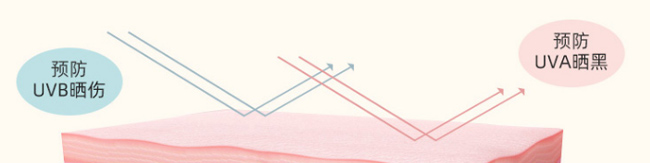 �����p���������x���o��