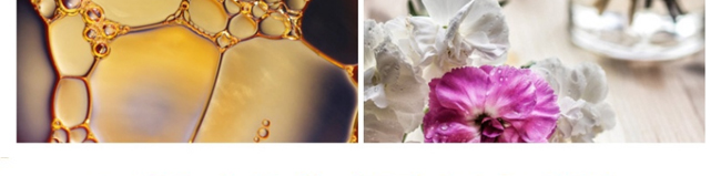 �����_(d��)��侫��