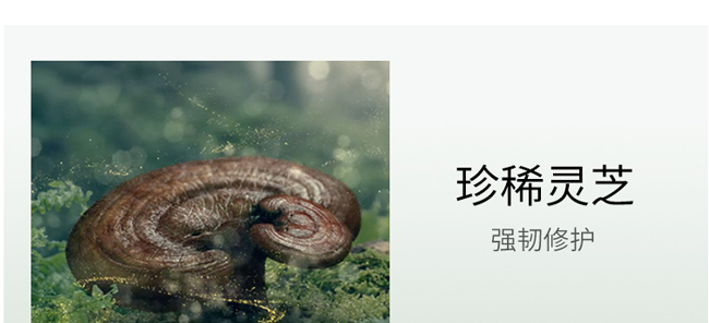 嵐?jié)欖`芝仙草系列護(hù)膚套組 嵐?jié)欖`芝仙草系列護(hù)膚套組