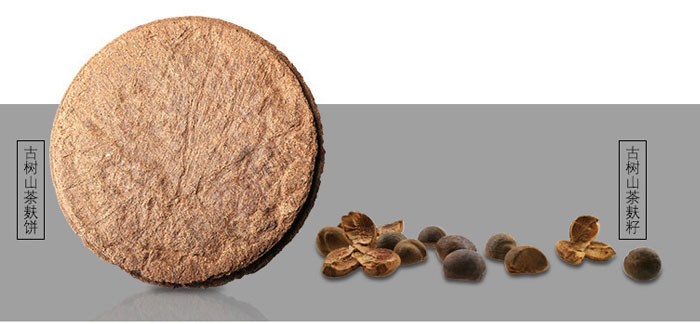 ���ϼ���-�Ř�ɽ����ϴ�l(f��)��