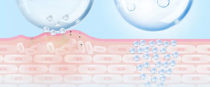 �C��ѩ�w���������ޏ���Ĥ