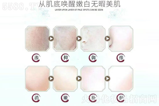 ��ע���}���w���o(h��)