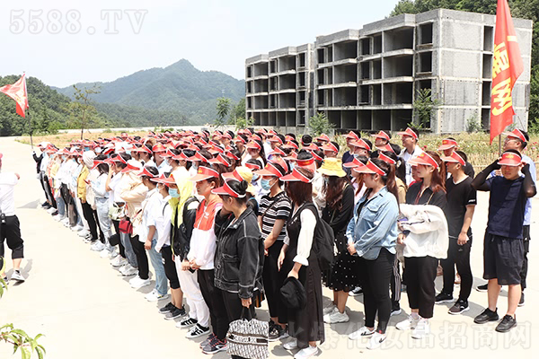 十里畫屏 悟道金頂 十里畫屏 悟道金頂