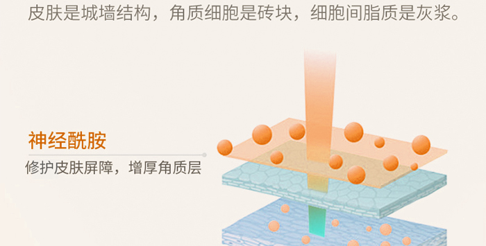 �ŭZ���澏���o��